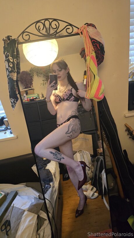 shatteredpolaroids pornstar hot gallery