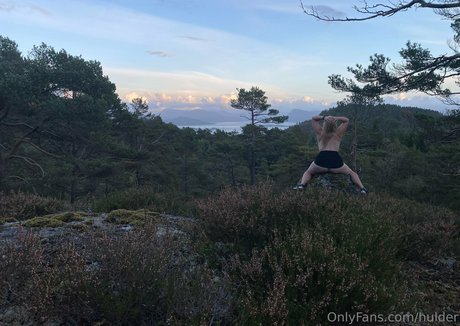 hulder pornstar nice picture