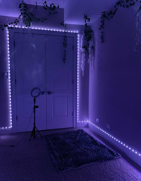 carebearelle sexy star galleries