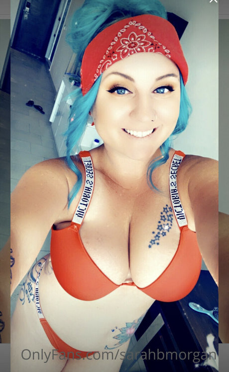 sarahbmorgan nice star galleries