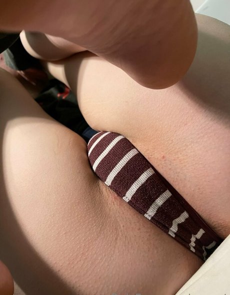 avanet star adult galleries