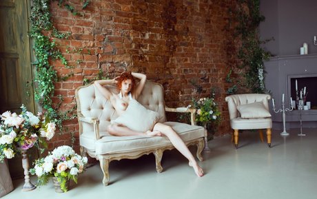 jinadaisy free star photo