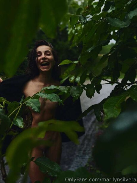 Little Lilu star free photo