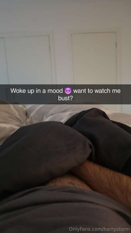 Harrystorm model hd image