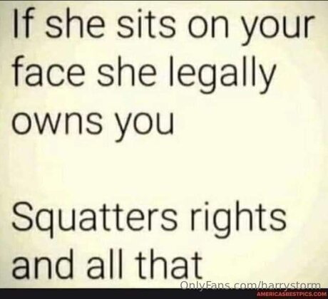 Harrystorm star art gallery