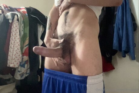 Profitspipe model high quality img