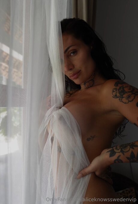 Comewithalicevip high quality star galleries