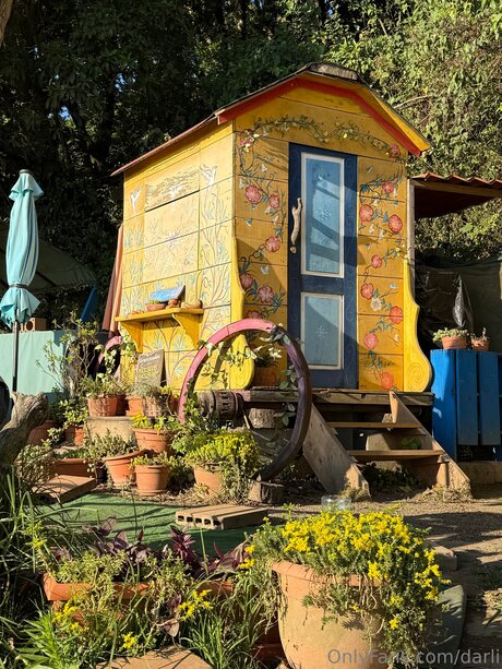 Darli pornstar nice gallery