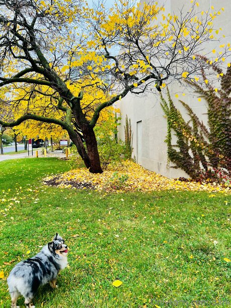 Darli high quality model galleries