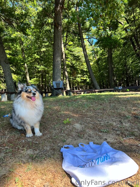 Darli perfect pornstar pics