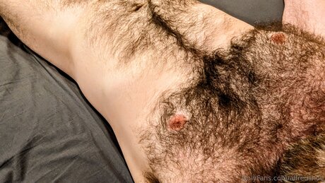 Alfredshoe perfect pornstar galleries