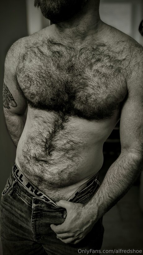 Alfredshoe erotic star img