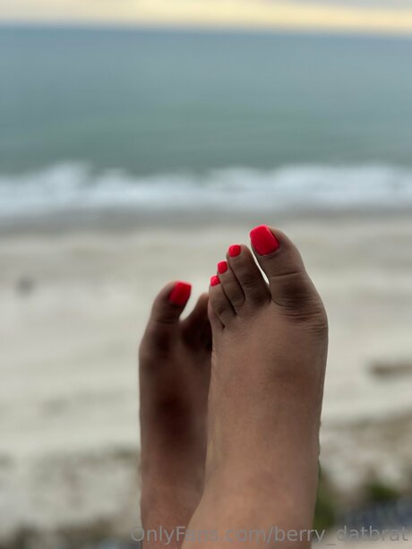 Berry Datbrat perfect star galleries