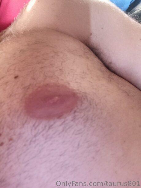 Taurus801 model high quality pictures