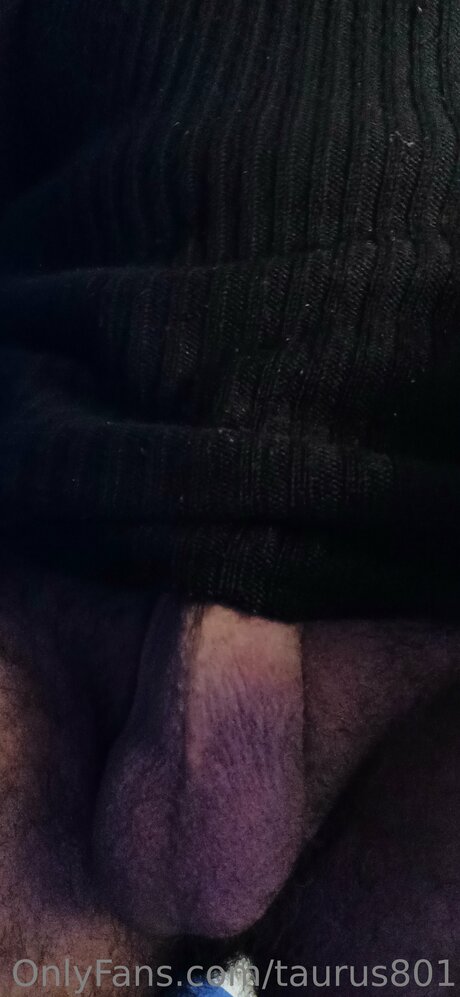 Taurus801 exclusive model galleries