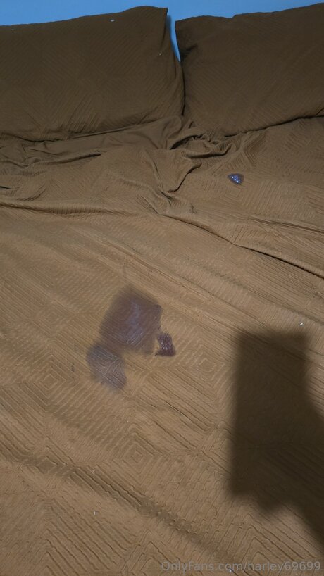 Harley69699 perfect star picture