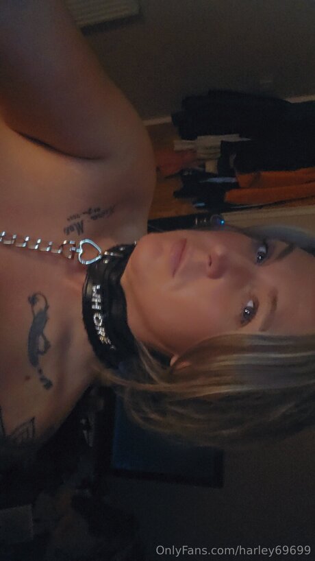 Harley69699 star top images