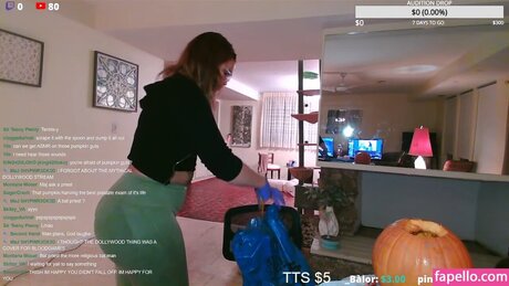 Fishtank model perfect img