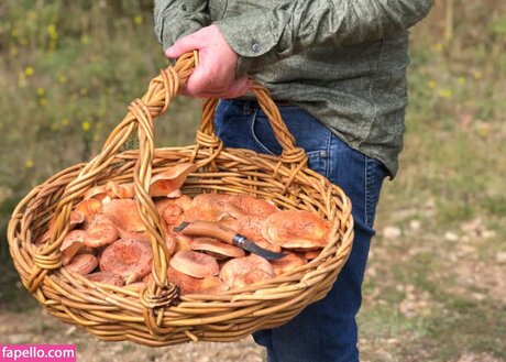 Magicmushroom nice model picture