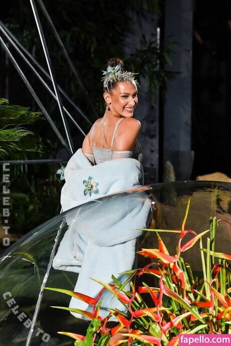 Bella Hadid erotic star archive