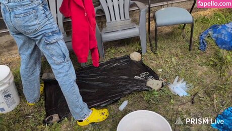 Rayactions pretty star img