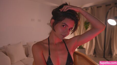 Ellelure free star pictures