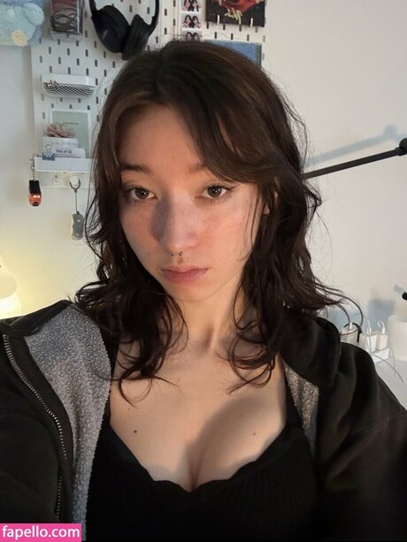 kaerisake model perfect img