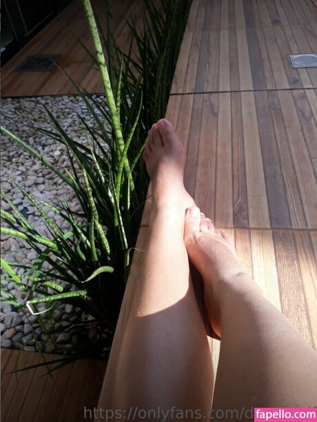 Dark Elf Quick photo