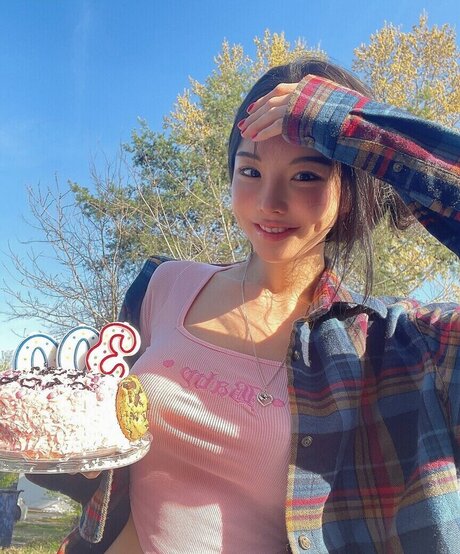 still need model xxx galleries