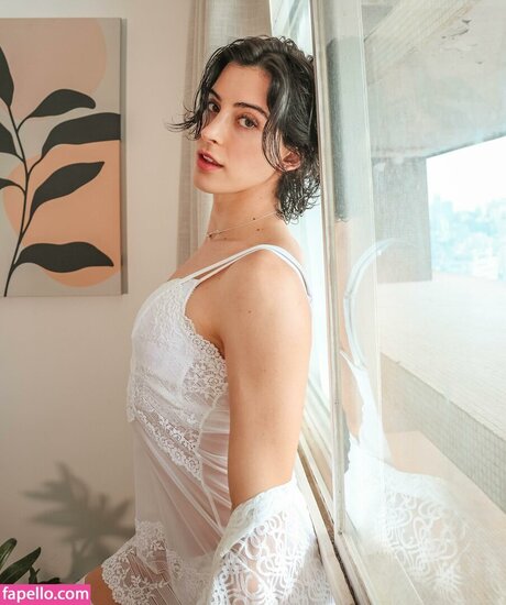 Zelonguinho star high quality photo