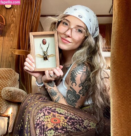 Mushbugs art star images