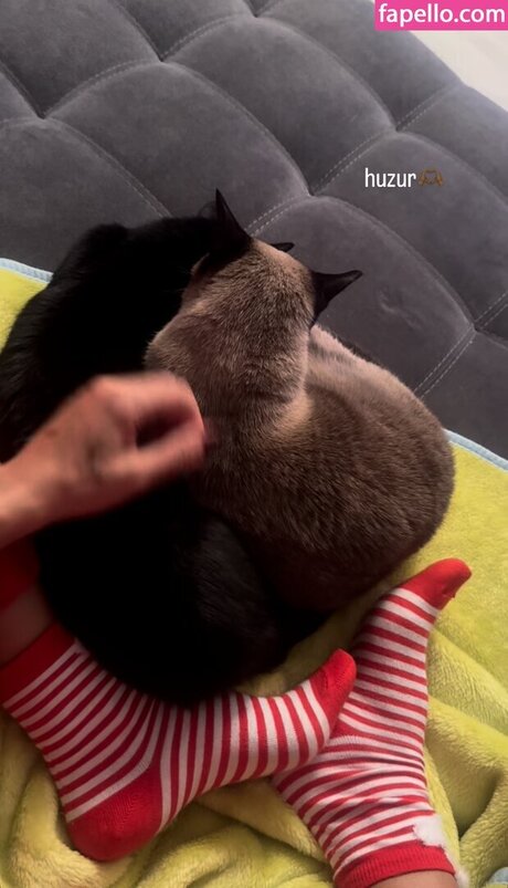 pinars0ylu star porn picture