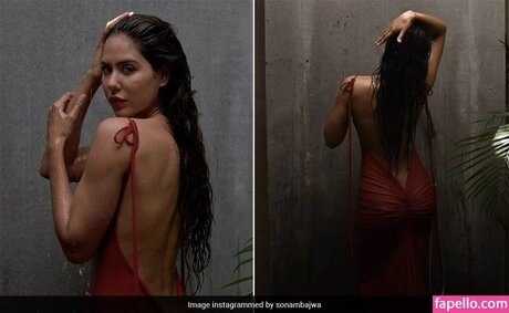 Sonam Bajwa star sexy photo