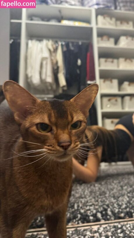 influesii753 naked model pic