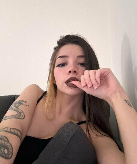 Amanda lpz free star galleries