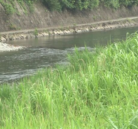 hairy armpits onlyfans nude archive