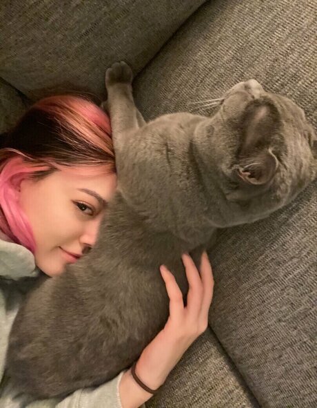 Sidsityttv pornographic model galleries