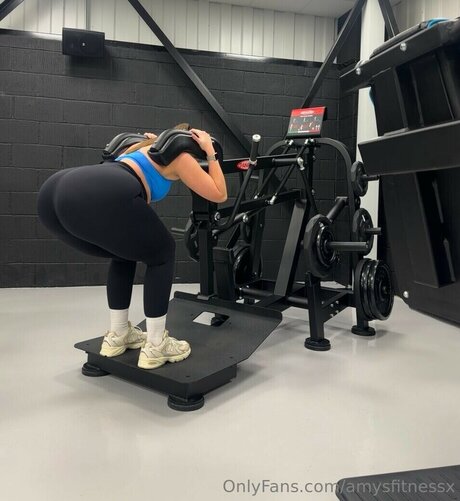 Stanway fitness high quality model archive