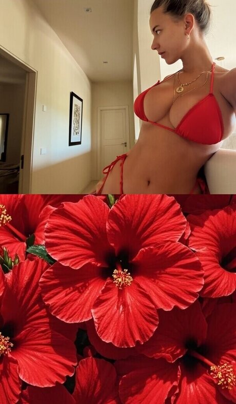 onlyfans creampie top photo