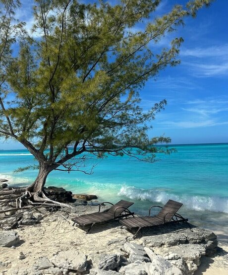 Bella Ramirez free actress gallery