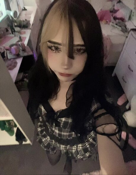 meinekatzeschmecktgut star perfect images