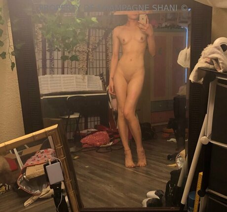 Allison Yellow hd model images