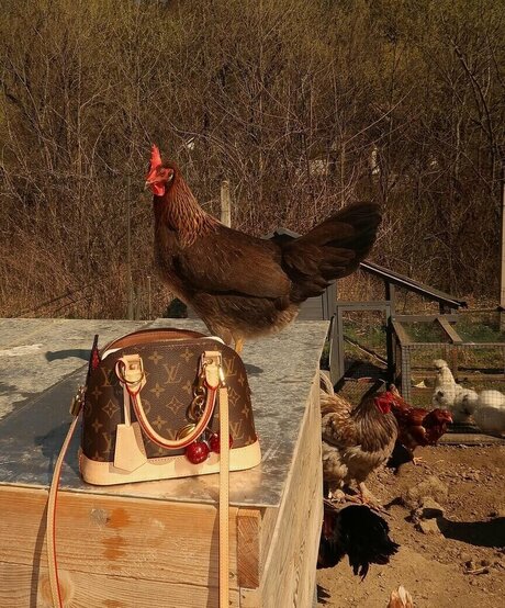 dripping wet pussy onlyfans nice gallery