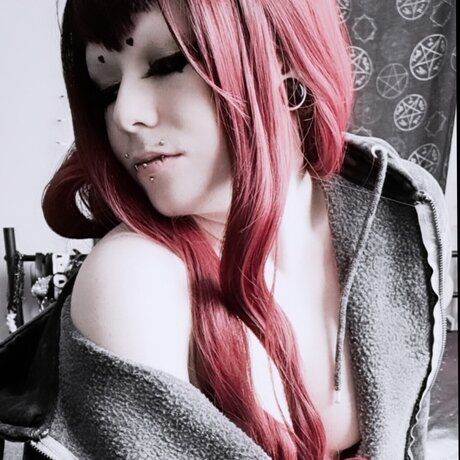 Willaby Morpho star free photos