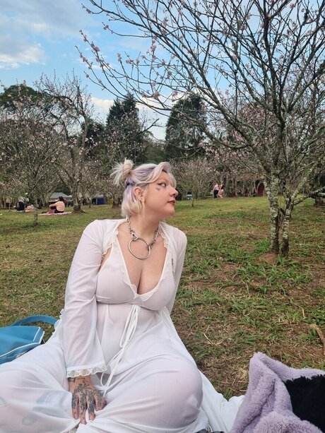 Sopa_ star hd images