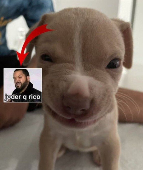 Mar29 pornstar free galleries