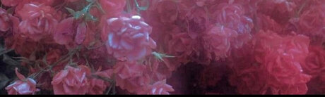 THE HOTTEST PAWG_ high quality actress pictures