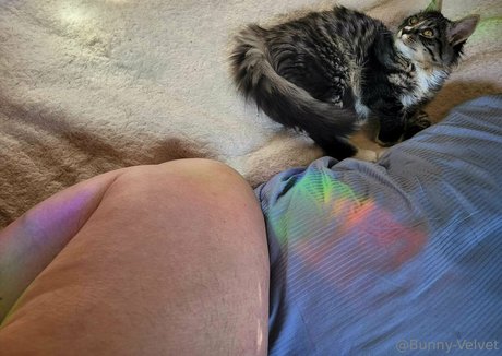 bunny velvet model naked picture