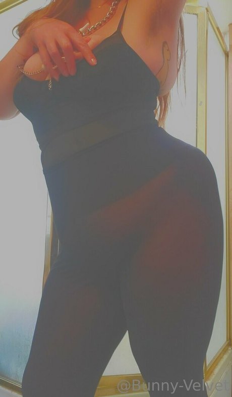 bunny velvet erotic star gallery