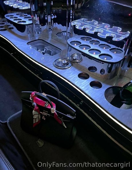 thatonecargirl model art pictures